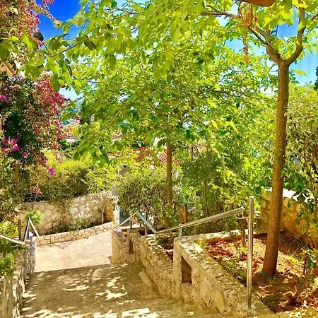 Apartman Family-friendly With Swimming Pool Kali, Ugljan - 23026 Kali